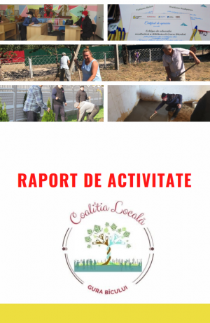 Raport narativ Coalitia Locala Gura Bicului, Anenii Noi